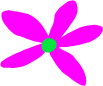 Flower 8