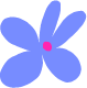 Flower 9